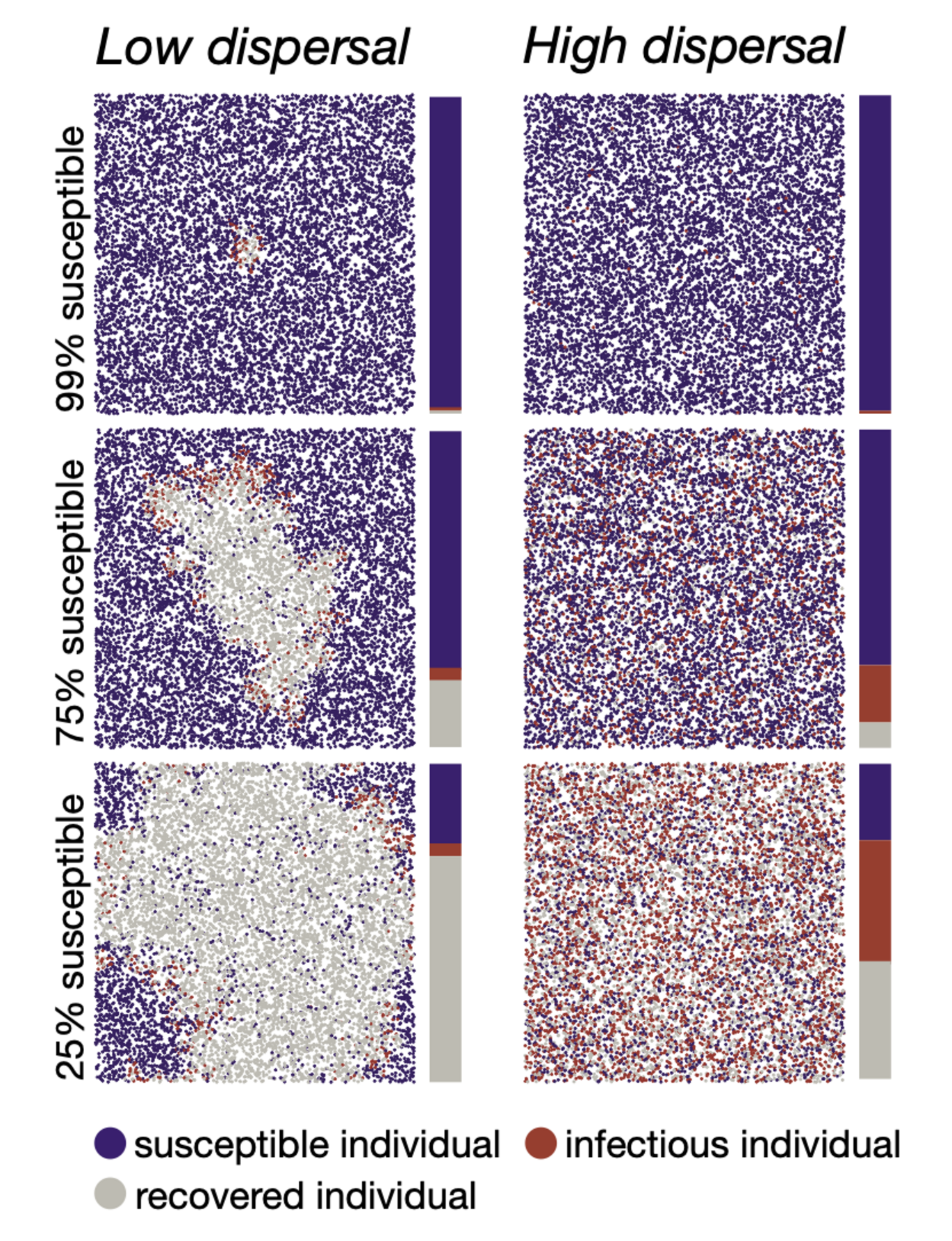 Langmuller Caching a Wave